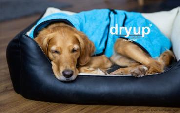 „Dryup Cape“ Trockencape - Hundebademantel cyan